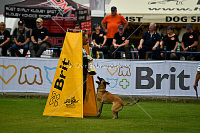 Alexa von der Lilienwiese