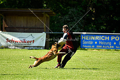 Alfons ex mera passio