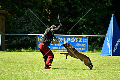 Alfons ex mera passio