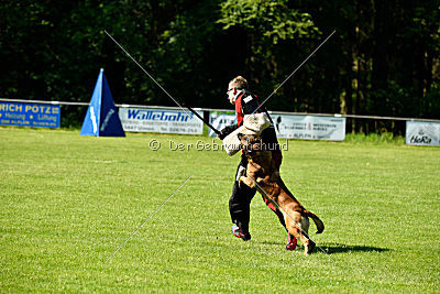 Alfons ex mera passio