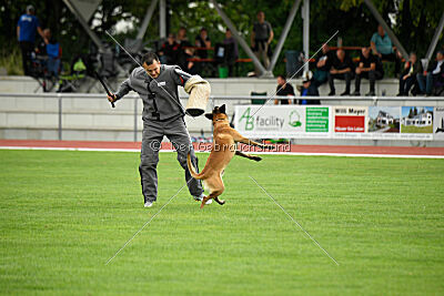 Alfred Airport Hannover