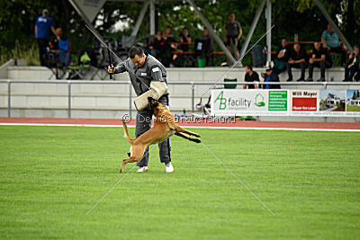Alfred Airport Hannover