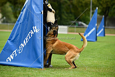 Alfred Airport Hannover