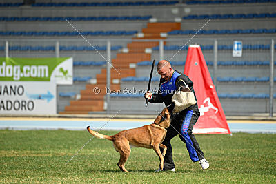 Alistar von der schwarzen Mamba