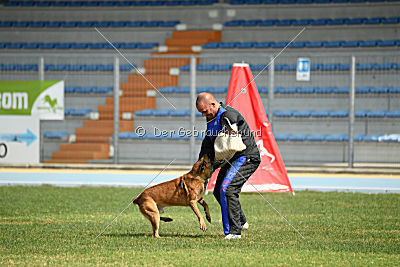Alistar von der schwarzen Mamba