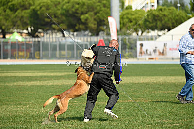 Alistar von der schwarzen Mamba