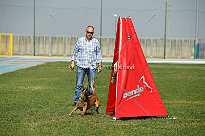 Alistar von der schwarzen Mamba