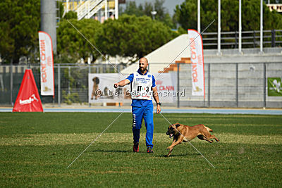 Alistar von der schwarzen Mamba