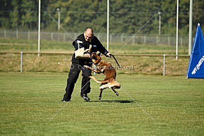 Ally von den Lausbuben