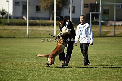 Ally von den Lausbuben