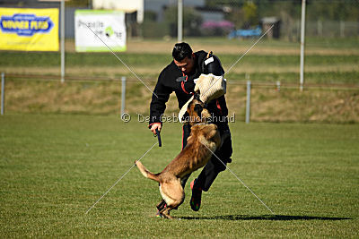 Ally von den Lausbuben