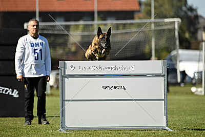 Ally von den Lausbuben