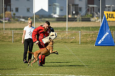 Ally von den Lausbuben