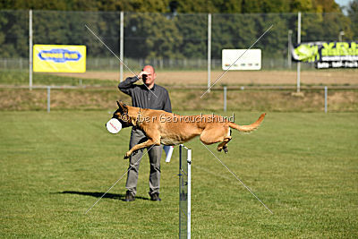 Ally von den Lausbuben