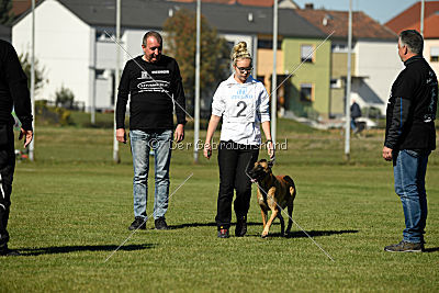 Ally von den Lausbuben