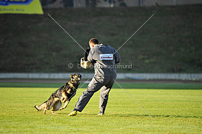 Alma von der Ameisenhalde