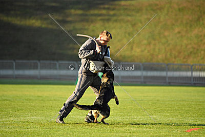 Alma von der Ameisenhalde