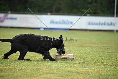 Alma von der Bügnitz