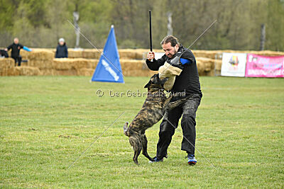 Alpha Bravo Shadow of Carcoosa