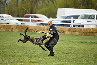 Alpha Bravo Shadow of Carcoosa
