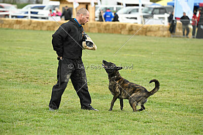 Alpha Bravo Shadow of Carcoosa