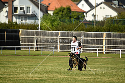 Alternate Attack's A'Odyn