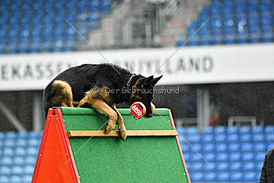 Alvar vom special Highlight