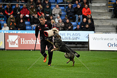 Alyscha Anmireto Moravia