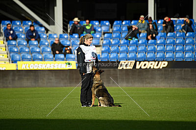 Alyscha Anmireto Moravia