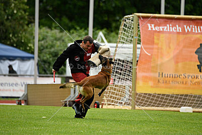 Amadeo vom Blonden Gift