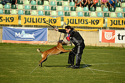 Amarok von Malihattan