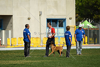 Amarok von Malihattan