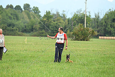 Amarok von Malihattan