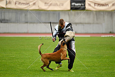 Amarok von Malihattan