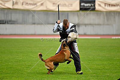 Amarok von Malihattan