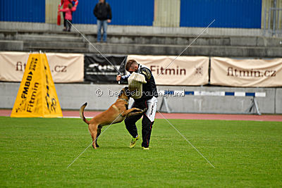 Amarok von Malihattan