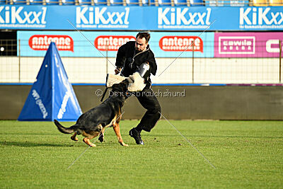 Ambassador von der eisernen Festung