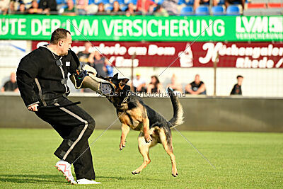 Ambassador von der eisernen Festung