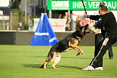 Ambassador von der eisernen Festung