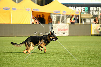 Ambassador von der eisernen Festung