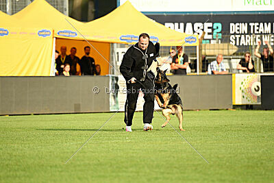 Ambassador von der eisernen Festung