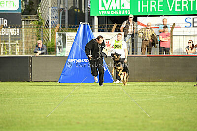 Ambassador von der eisernen Festung