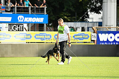 Ambassador von der eisernen Festung