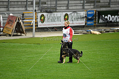 Amber van Hamersslag