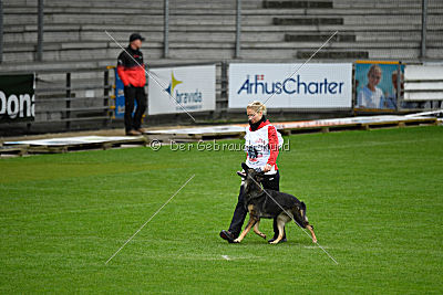 Amber van Hamersslag