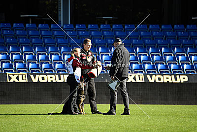 Amber van Hamersslag