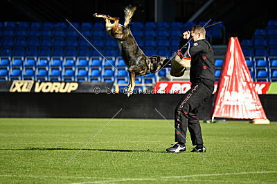 Amber van Hamersslag