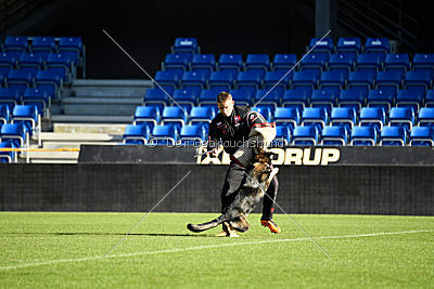 Amber van Hamersslag