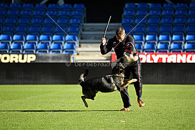 Amber van Hamersslag