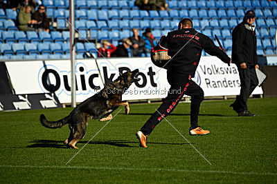 Amber van Hamersslag